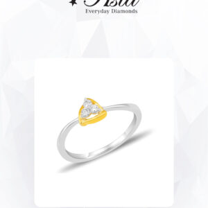 ASTA - EVERYDAY DIAMONDS